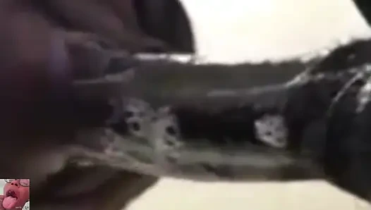 역대 최고의 CIM 펠라