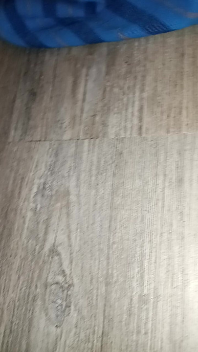 Döllenmeyi seviyorum