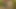 Spanking by hand, hairbrush and switch in forest