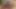 Blonde fickt mit einem Monster Schwanz
