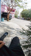 Pratinjau video