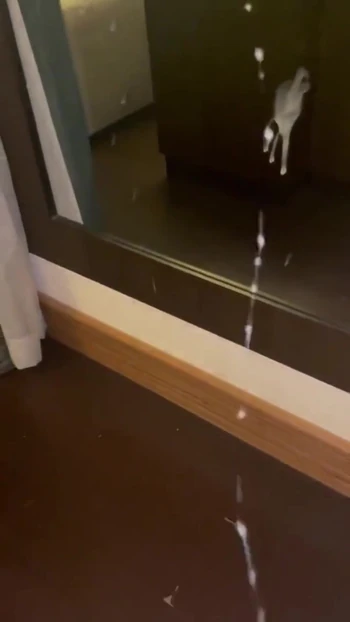 BIG CUMSHOT INFRONT OF STEP MOM