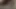 Sıkı Asya eş gangbanged tarafından bbcs