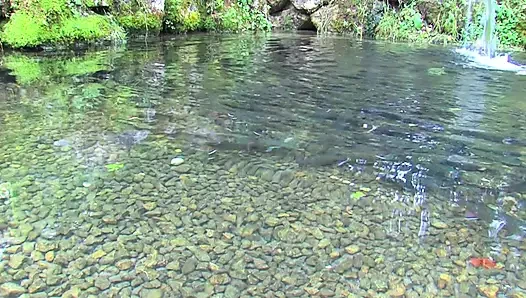 Возбужденных девушек трахают по очереди после того, как сосут член на лодке