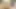 Geile mädchen caprice jane und Nikky blond werden von einem hengst gefickt