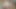 これはすべてオイルと私の膣の話です