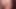 Bulgarian Valya Gypsy 1