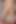 ピナイセクシーネイバーフッド