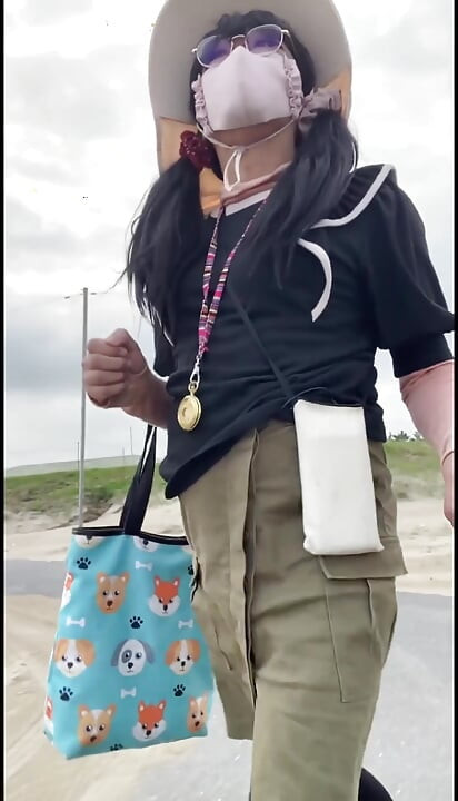 No. 270 Exposing Myself by the Beach