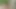 Gay porn military dick exam Jungle bang fest