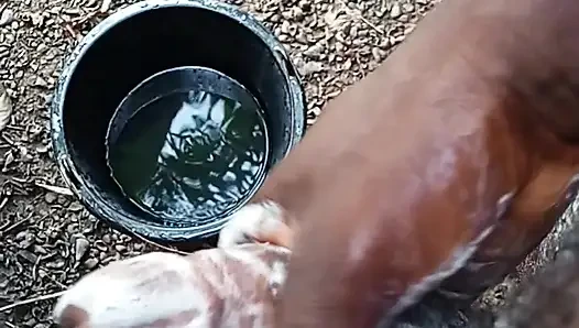 A boy masturbating inside his bathroom with soap
