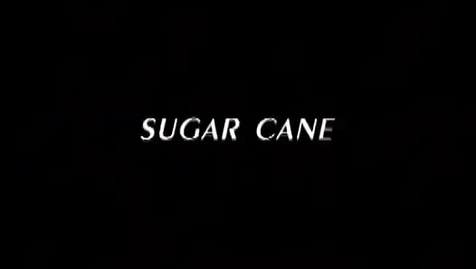 Blonde milf gefickt und gefilmt in pOV