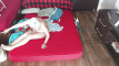 Pregled videozapisa
