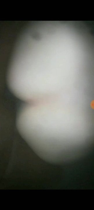A black who fucks