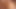 Pervcity, Diana, Prinz, Francesca Lee, Nicki Hunter