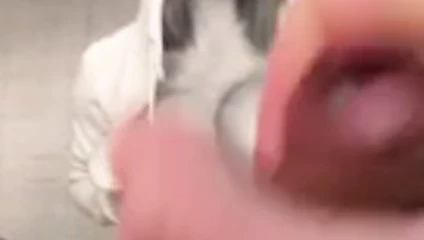 wchixy cumtribute