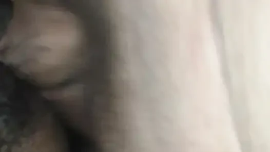 Azgın boğa karımın amını sikiyor.