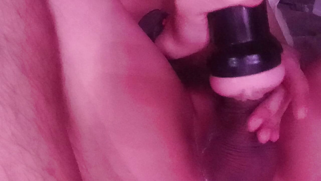 Warm My Milk Day 1664