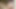 (18 Year Old) Boy next Door Jerking Monster Cock - 23 Cm