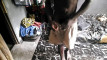 Pregled videozapisa