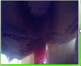 dildo in my asshole