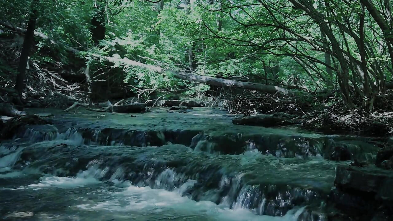 Flexing by the Waterfall, Trying to Sneak a Little Private Moment