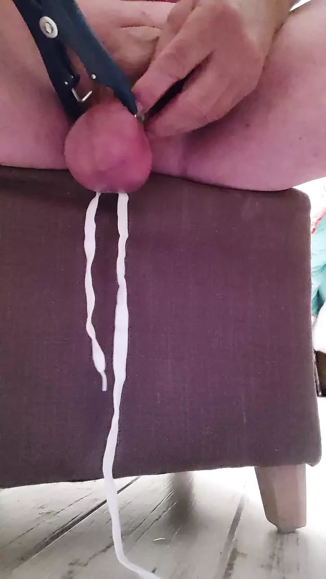 elestrator castration play