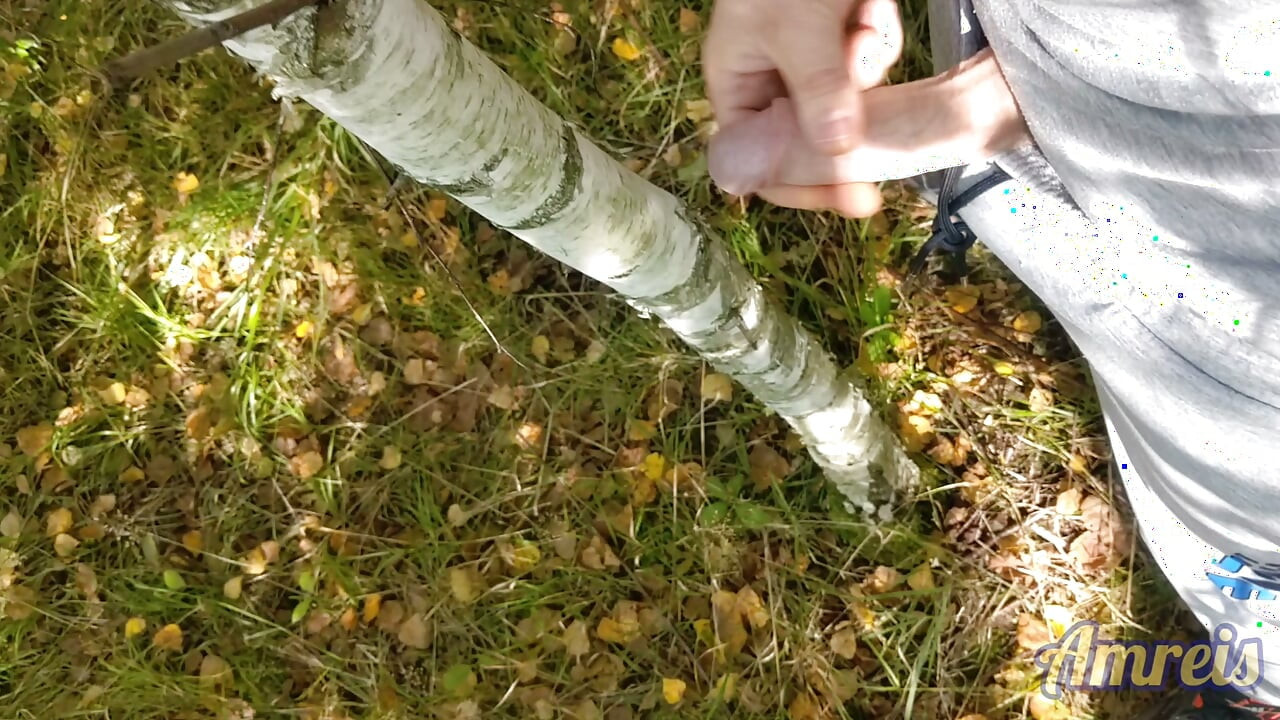 Jerking off in the woods near the highway. I almost got caught!