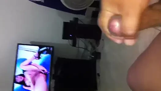 Pajaso x trany