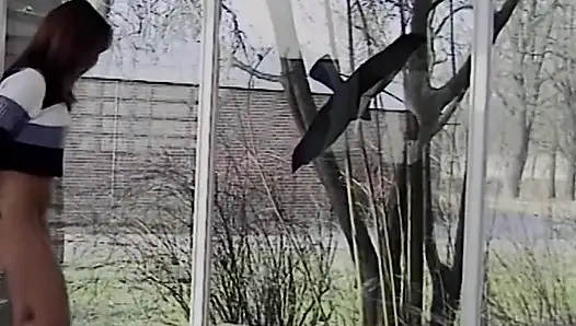 Couples in private - that's how the Germans drive it in private (1998)