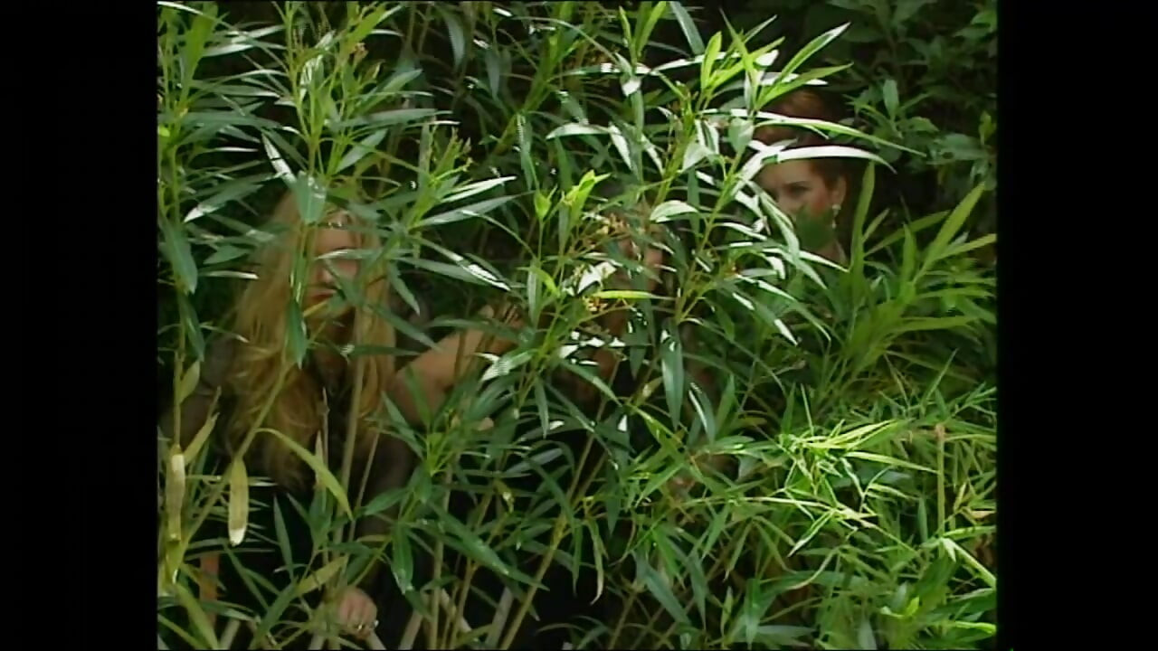 CINDY (Cijeli Film)