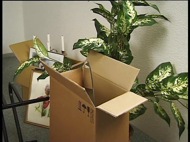 毛深い成熟したふしだらな女が若い男に犯される