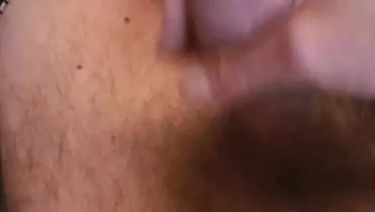 Sperm çek