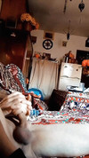 Pregled videozapisa