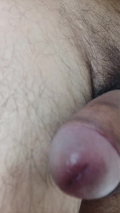 A big beautiful penis twitches from excitement, it flows, the angle is very close, the view is from above! He wants a naughty charming cat!