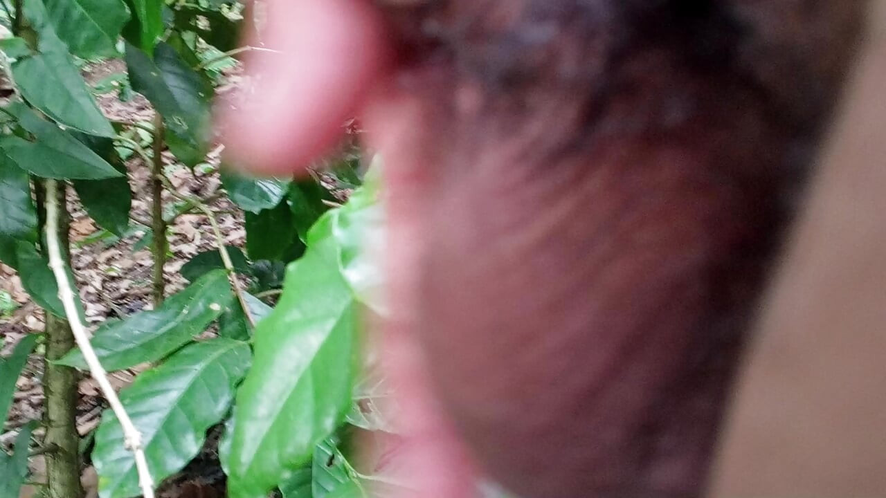 Male Pregnant Passive Swallower
