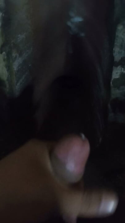 Desi indian handjob single video