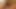 hairy blond girl - p1