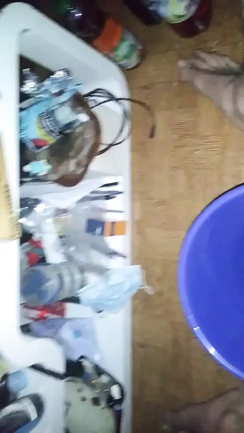 Coli