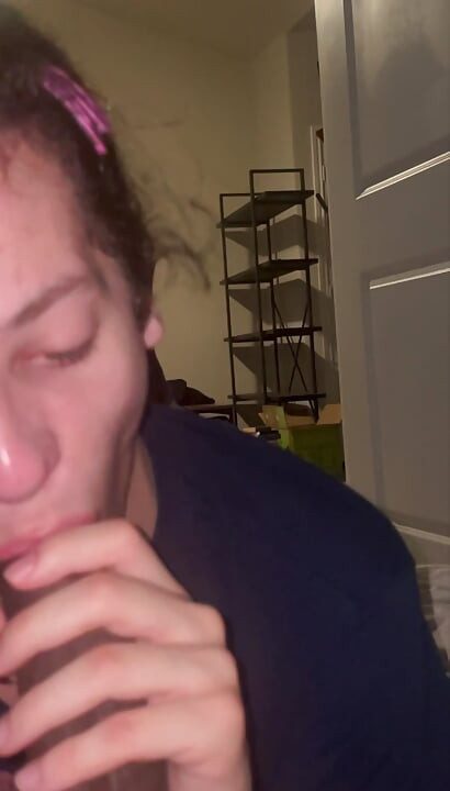Plavooka slatkica sisa na velikom crnom