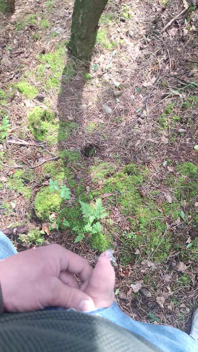 Solo outdoor peeing in a public wood