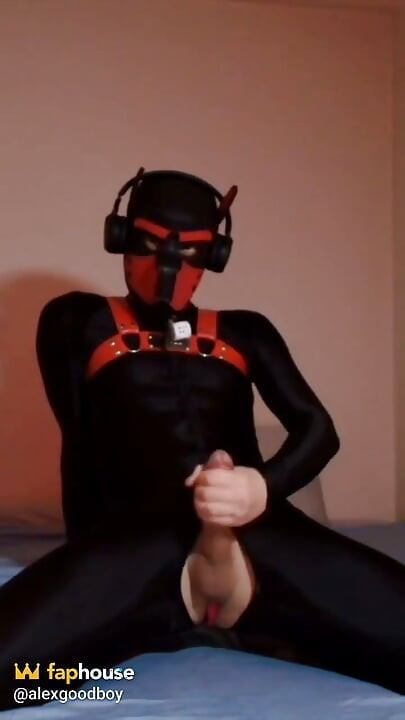 Needy Puppy Jerks His Cock on His Knees