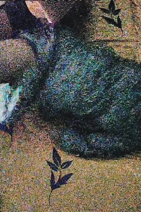 Üvey erkek kardeş ve seks üçlü seks