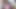 テイラー・ホワイト20-01-21 05