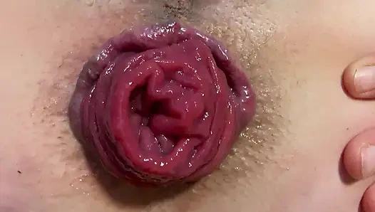 Spread and prolapse my asshole close up