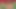 Puffy peach masturbation with a raven teen