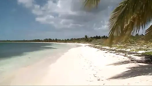 Performance anali Sc 2 lewd anal sex