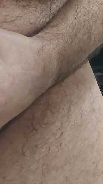 Pollita De Oso