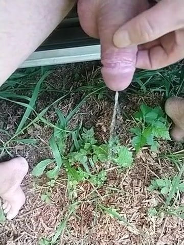 Piss