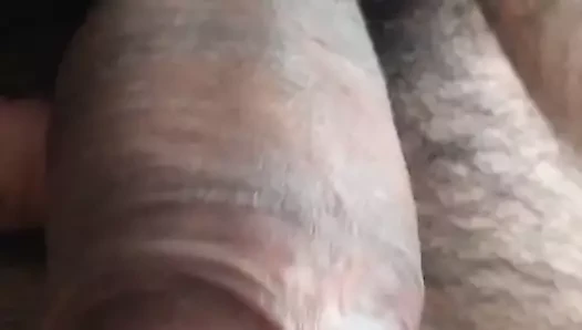 Peludo
